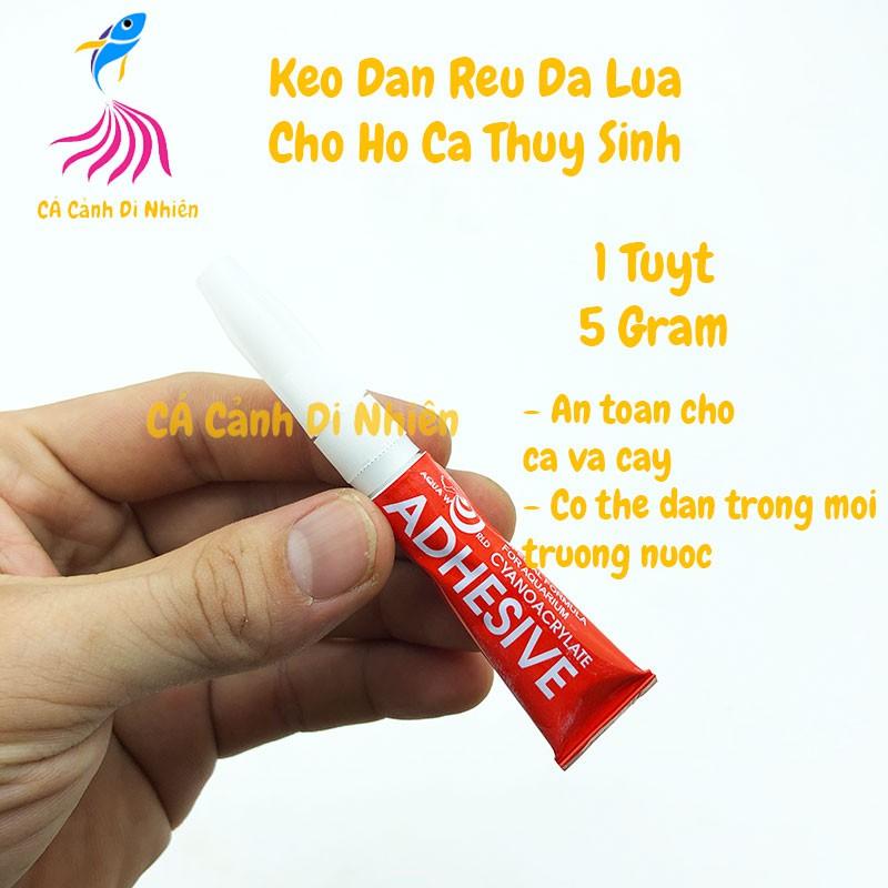 Keo dán rêu, đá, lũa ADHESIVE MÀU ĐỎ 5 Gram cho hồ cá thủy sinh