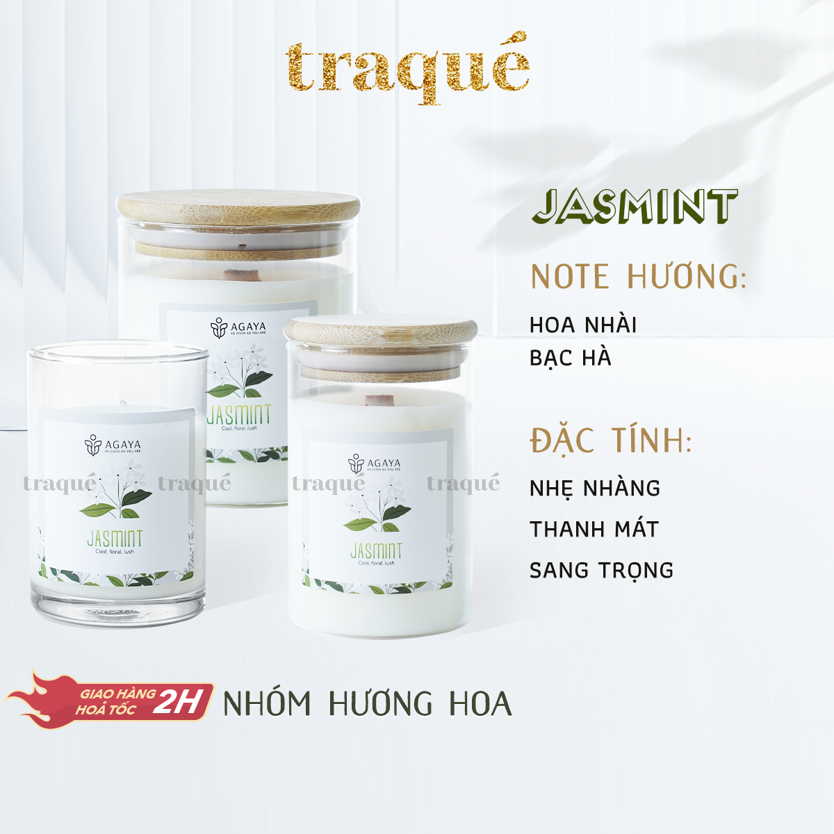 Nến thơm Candle Cup/Agaya - Hương Hoa JASMINT