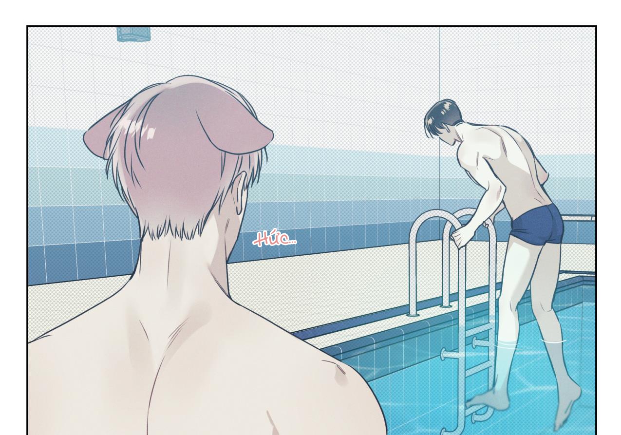 dải hợp âm trên đại dương xanh chapter 15 43