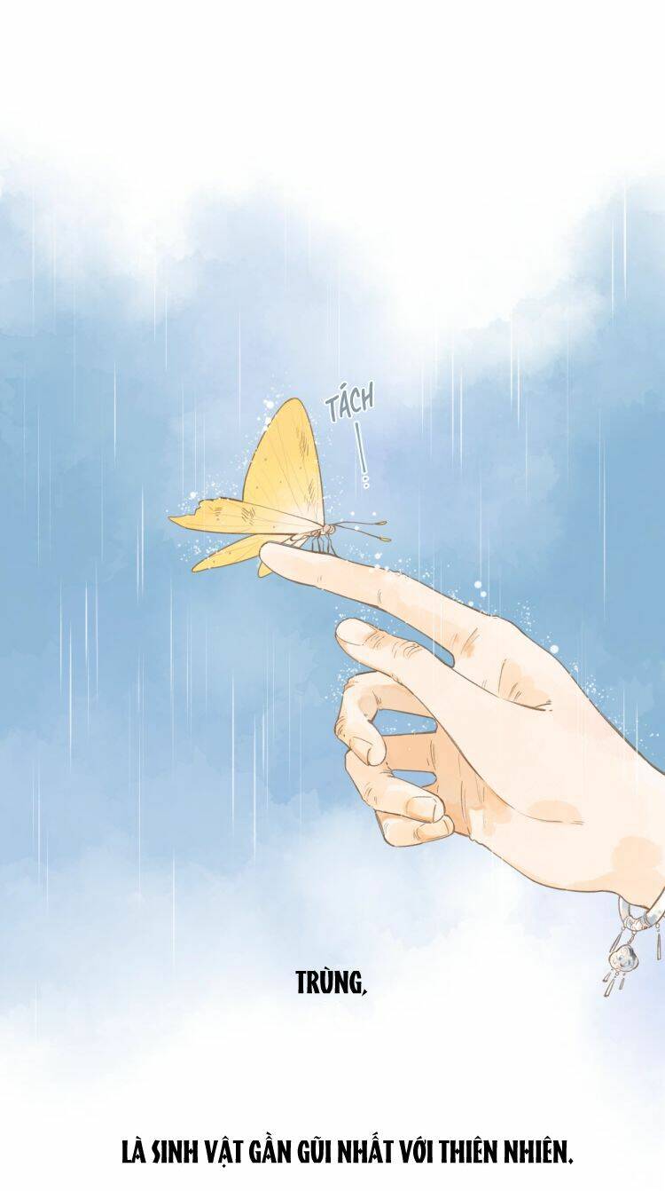 sos! tôi đã yêu một con sâu bướm (phần 2) chapter 0 6