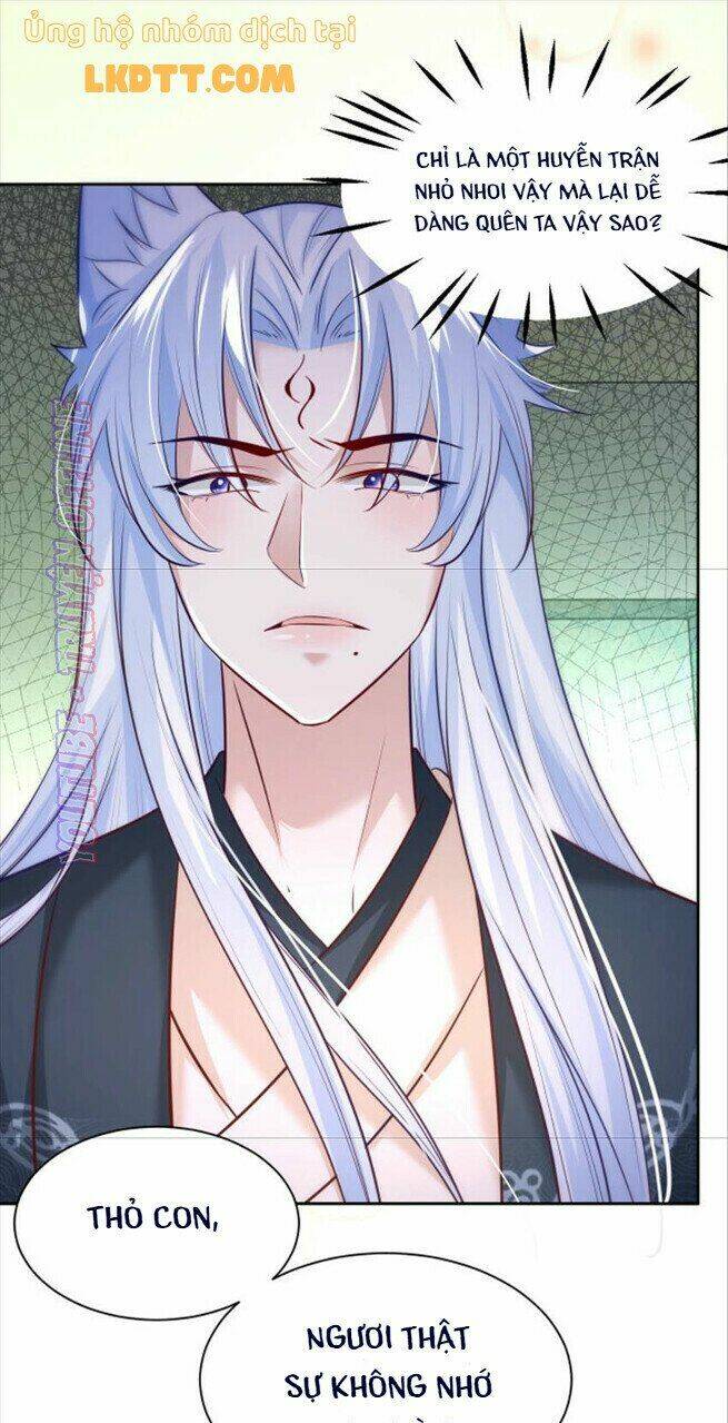 hắc hóa nam chính trực tuyến nuôi thỏ chapter 36 4