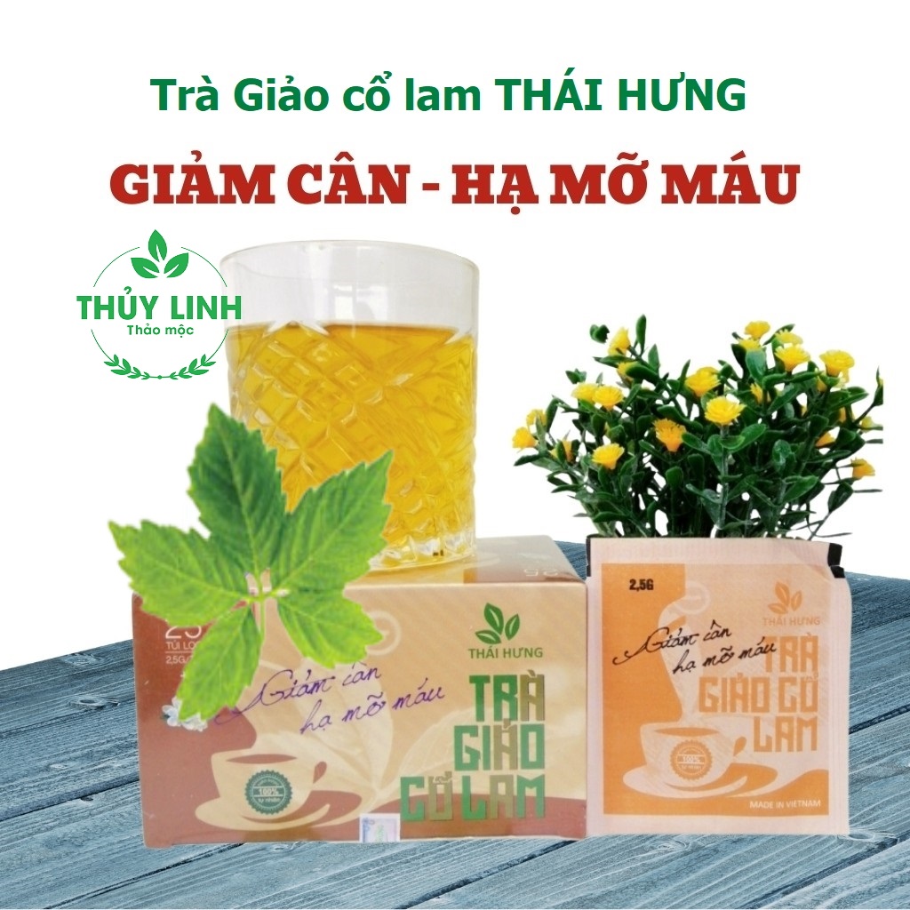 Combo 04 Hộp Trà thảo dược cao cấp Thái Hưng: GIẢO CỔ LAM (25 túi lọc 2,5g)