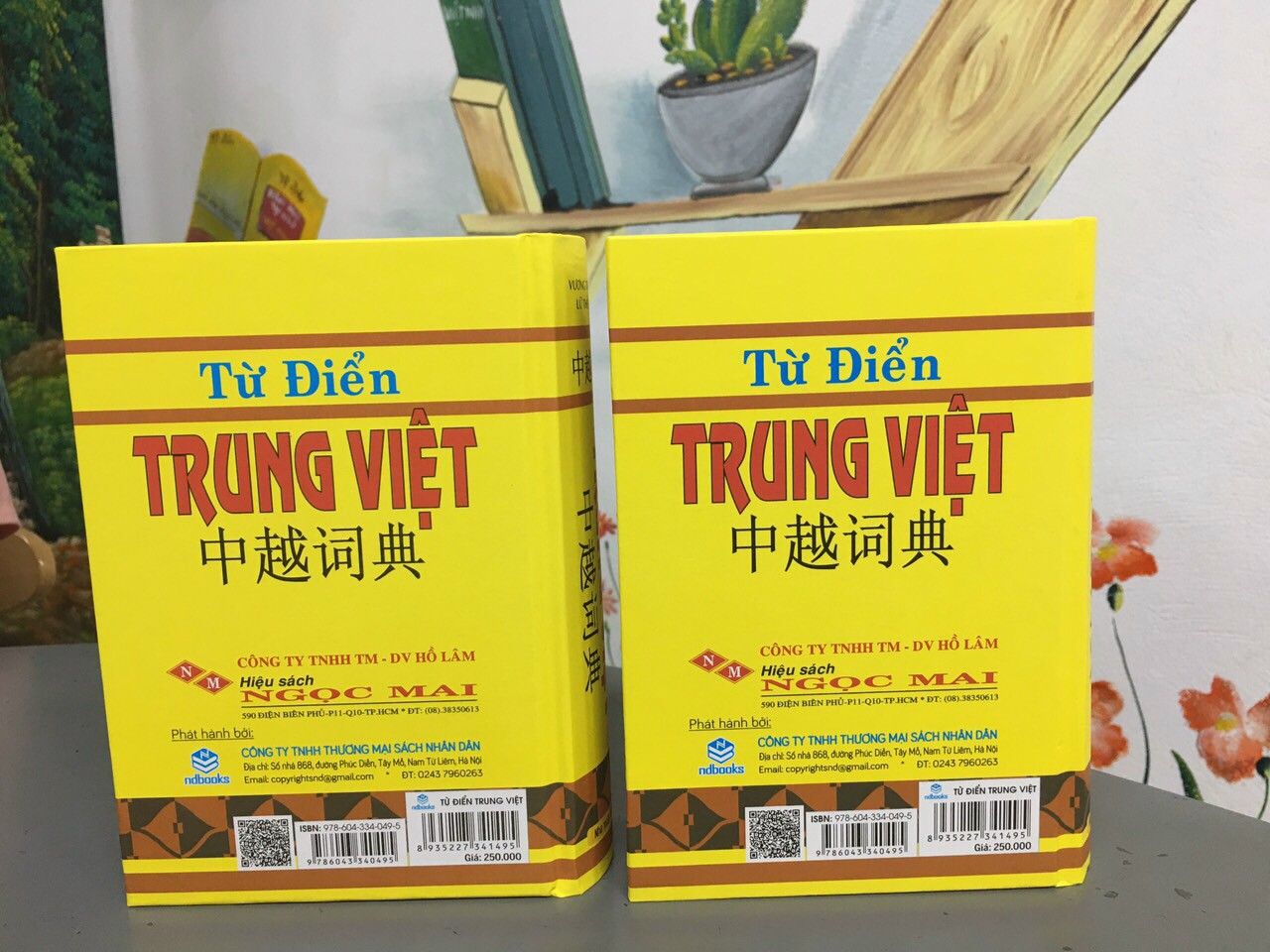 NDB - Từ điển Trung việt