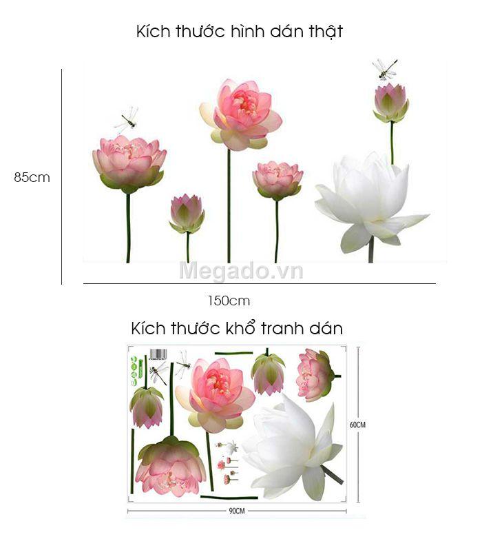 DECAL DÁN TƯỜNG SEN HỒNG TRẮNG TO - HP434
