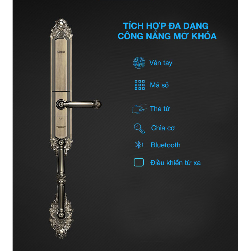 KHÓA CỬA ĐIỆN TỬ KAADAS 6001