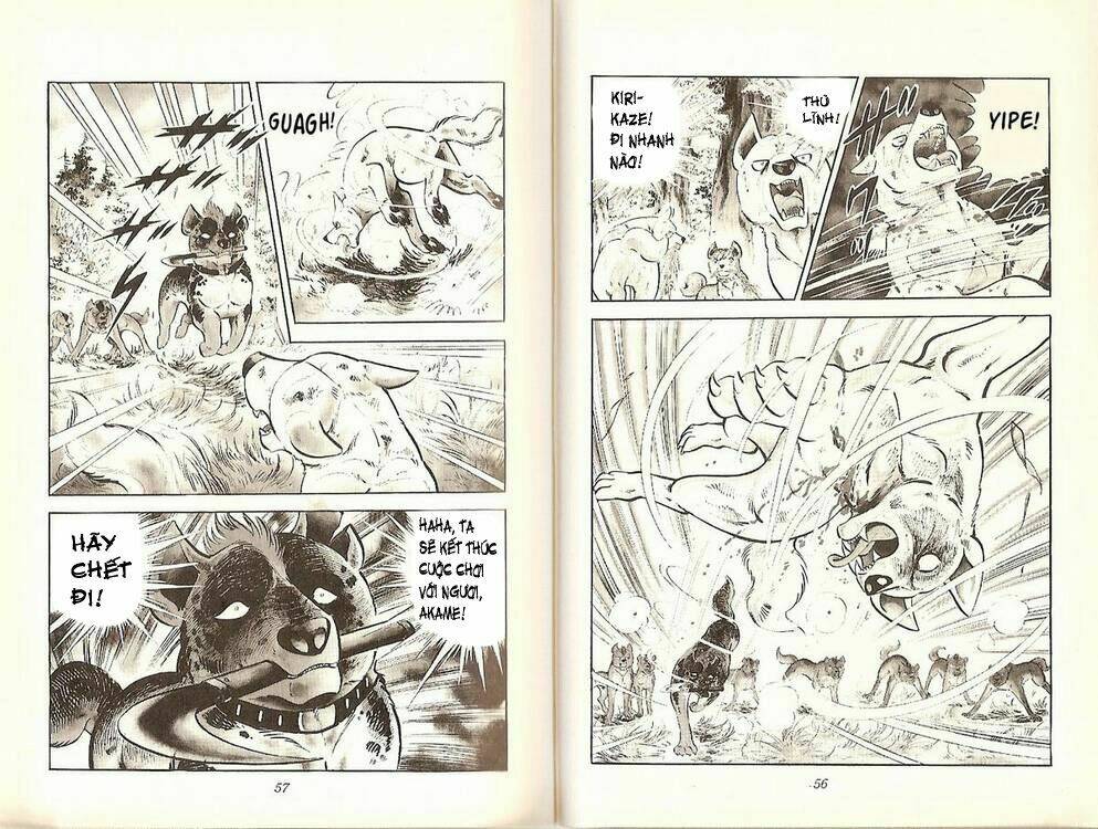 chú chó có nghĩa - ginga nagareboshi gin chapter 19 27