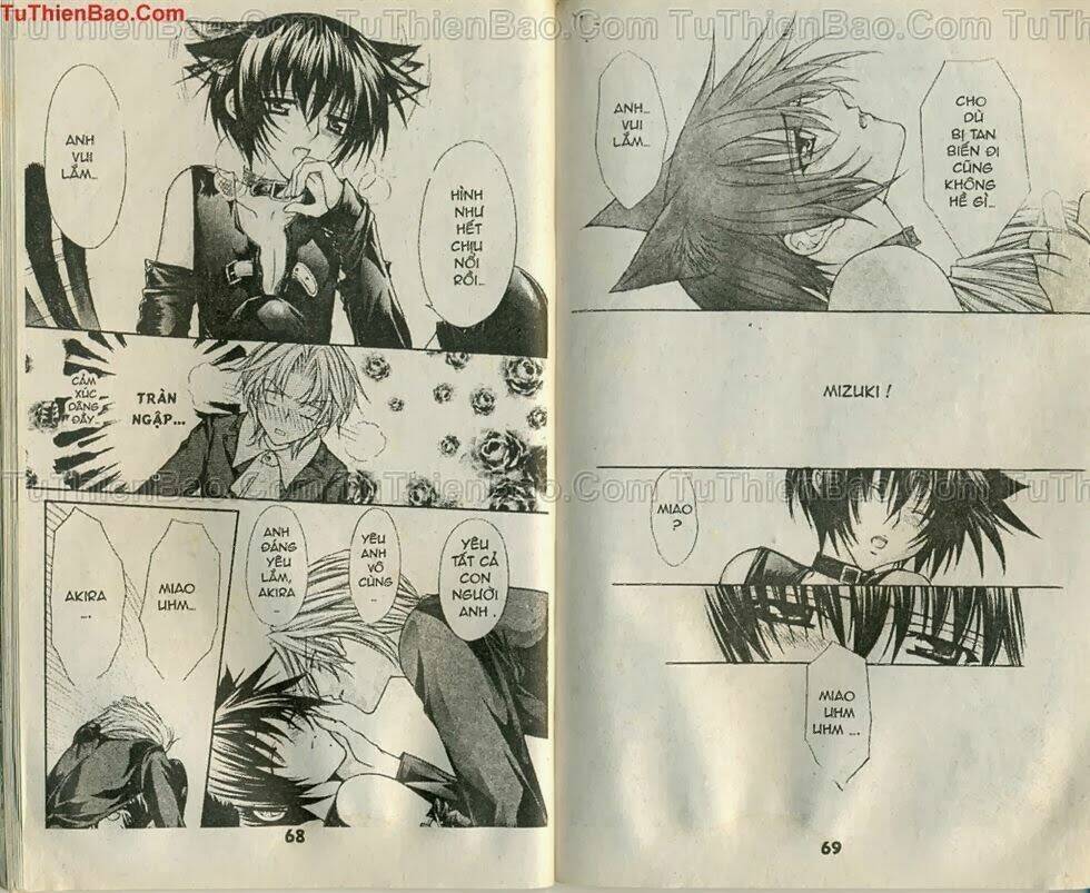 mối tình hoa hồng xanh chapter 6 33