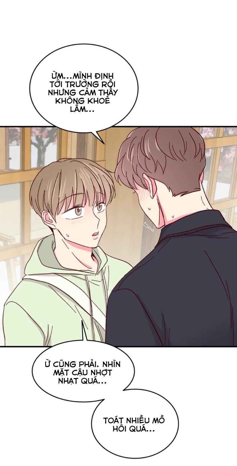 món tráng miệng của sếp tổng chapter 54 31