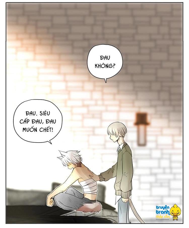 cứu mạng ! loài mèo thống trị thế giới rồi ! chapter 29 19