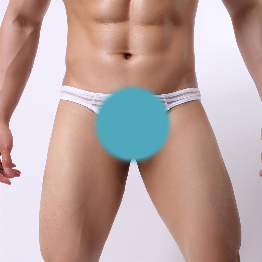 Men's Sheer Mesh Striped Panties Pouch Thong Low Waist Underpants Brief T-back Underwear