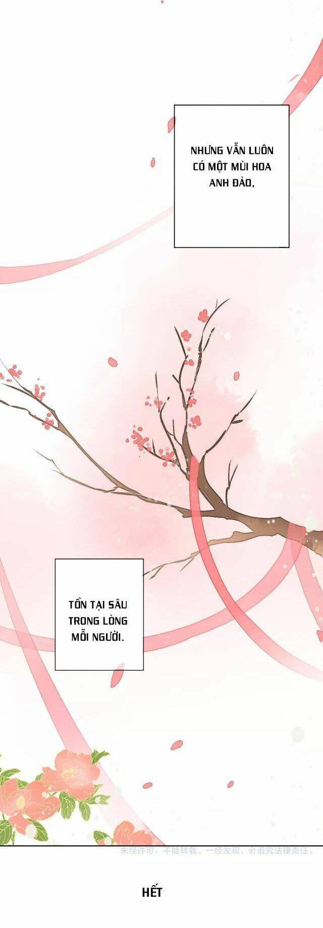 đốt đào hoa chapter 80 24