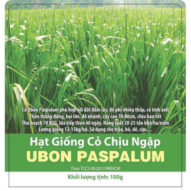 Hạt giống cỏ xả chịu ngập UBON Paspalum - gói 200g