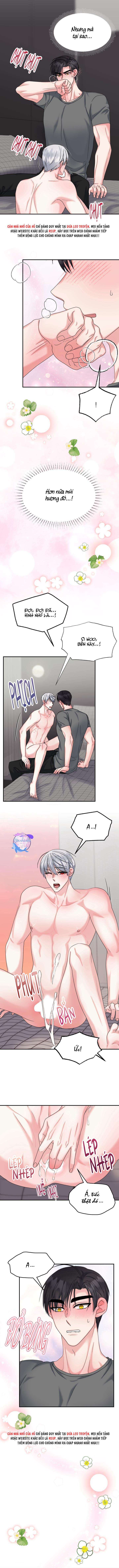 đây là chú thỏ mà bạn (không) đã đặt hàng chapter 12 8