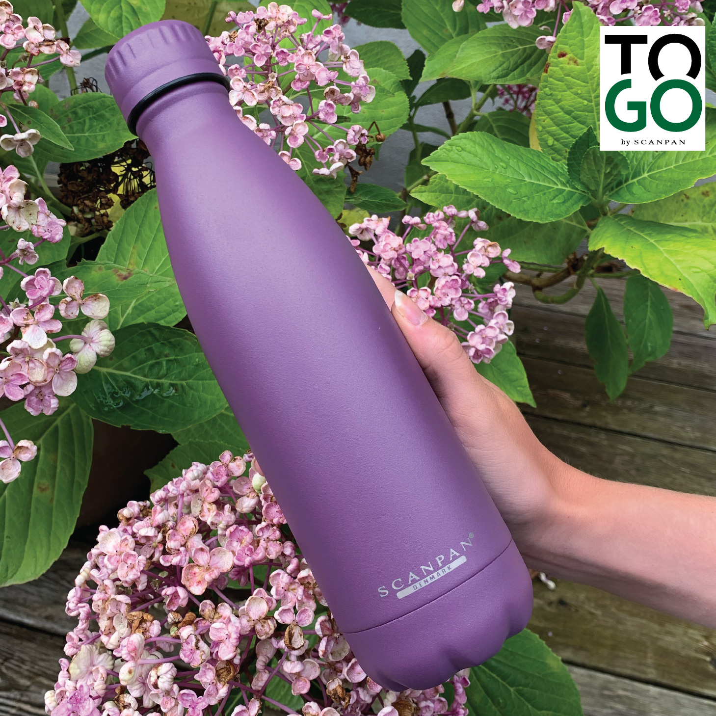 Bình giữ nhiệt Scanpan To Go 500ml màu tím - 51000161 - Hàng chính hãng