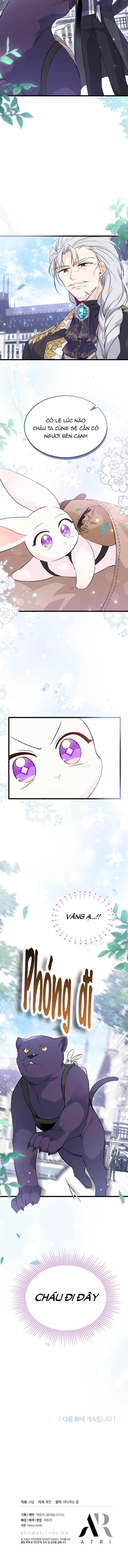 mối liên kết giữa báo đen và bé thỏ chapter 60 6