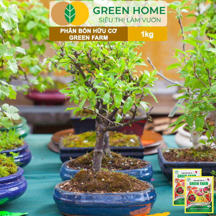 Phân Bón Hữu Cơ Green Farm, GreenHome, Gói 1kg, Chuyên Dùng Cho Cây Cảnh, Hoa Hồng