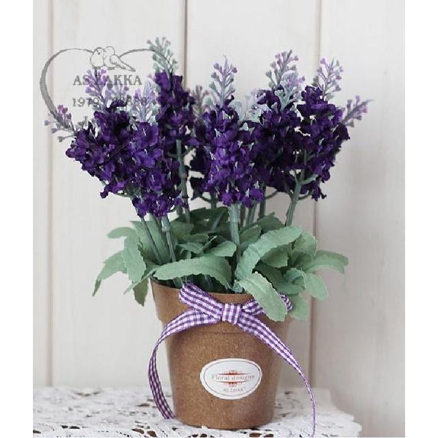 Hạt giống hoa oải hương gói 100 hạt