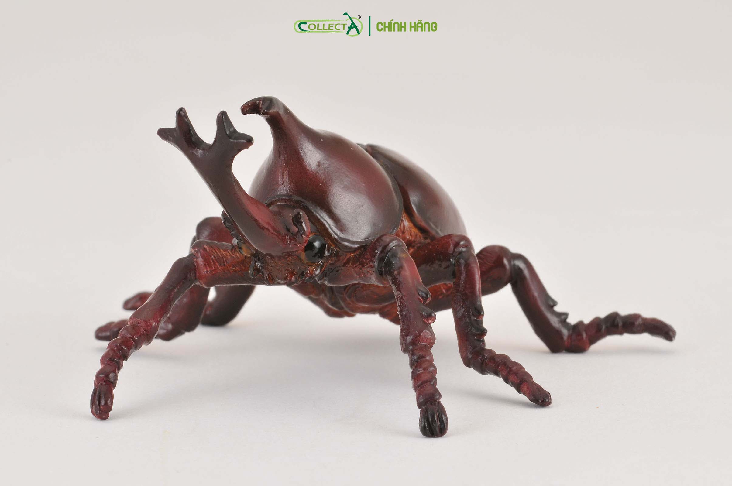 Mô hình thu nhỏ: Kiến Vương - Rhinoceros Beetle, hiệu: CollectA, mã HS 9653100[88337] -  Chất liệu an toàn cho trẻ - Hàng chính hãng