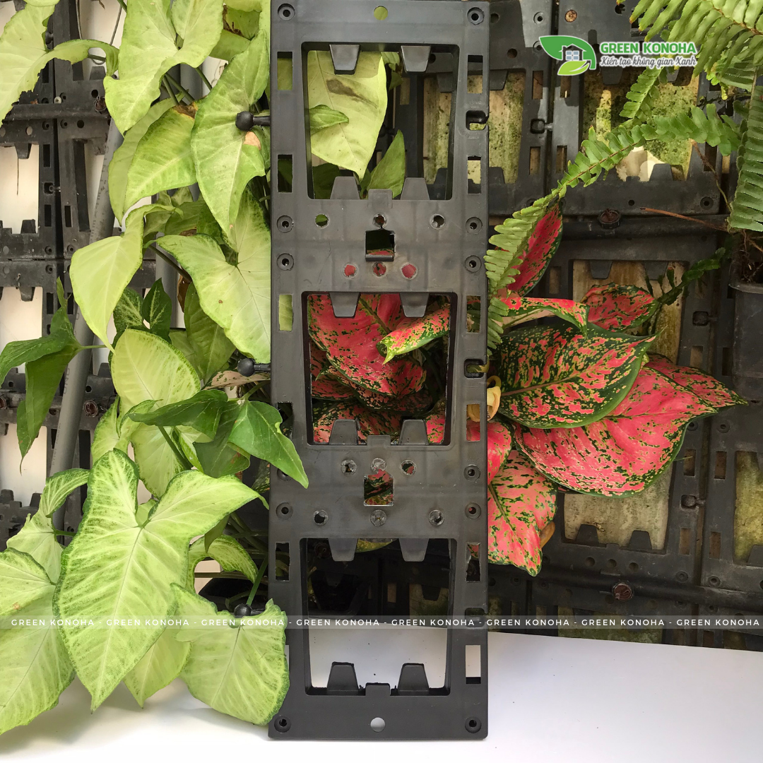 BỘ MODULE VƯỜN TƯỜNG TRỒNG HOA, TRỒNG RAU, TRỒNG CÂY GREEN KONOHA