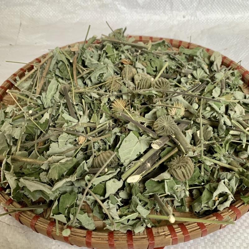 Cây Cối Xay khô sạch băm loại 1kg Cty thảo dược số 1