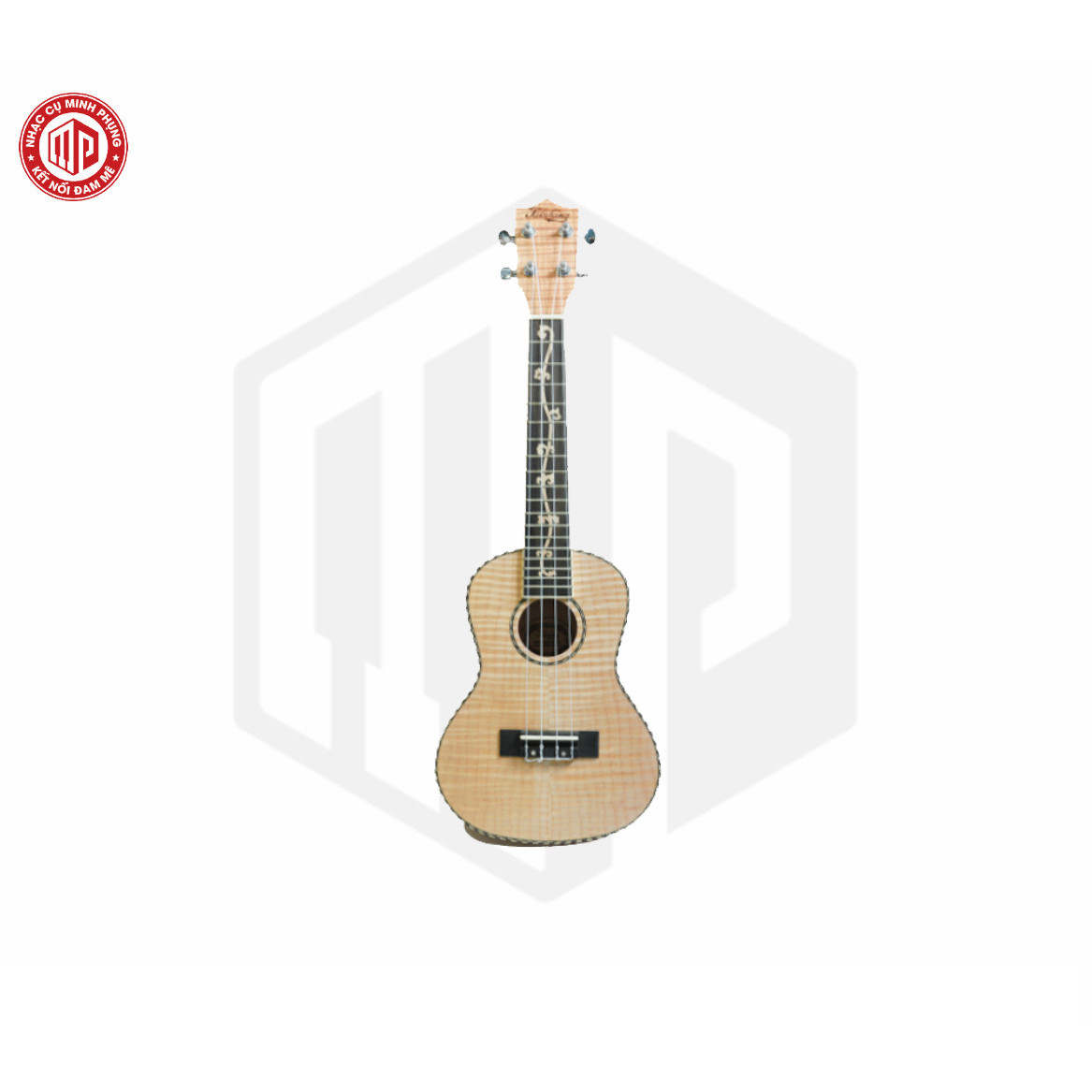 Đàn Ukulele cao cấp Concert Takahama TK-24H - Hàng chính hãng