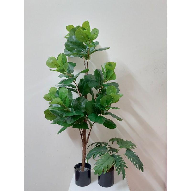 Cây bàng singapo giả cao cấp các kích cỡ