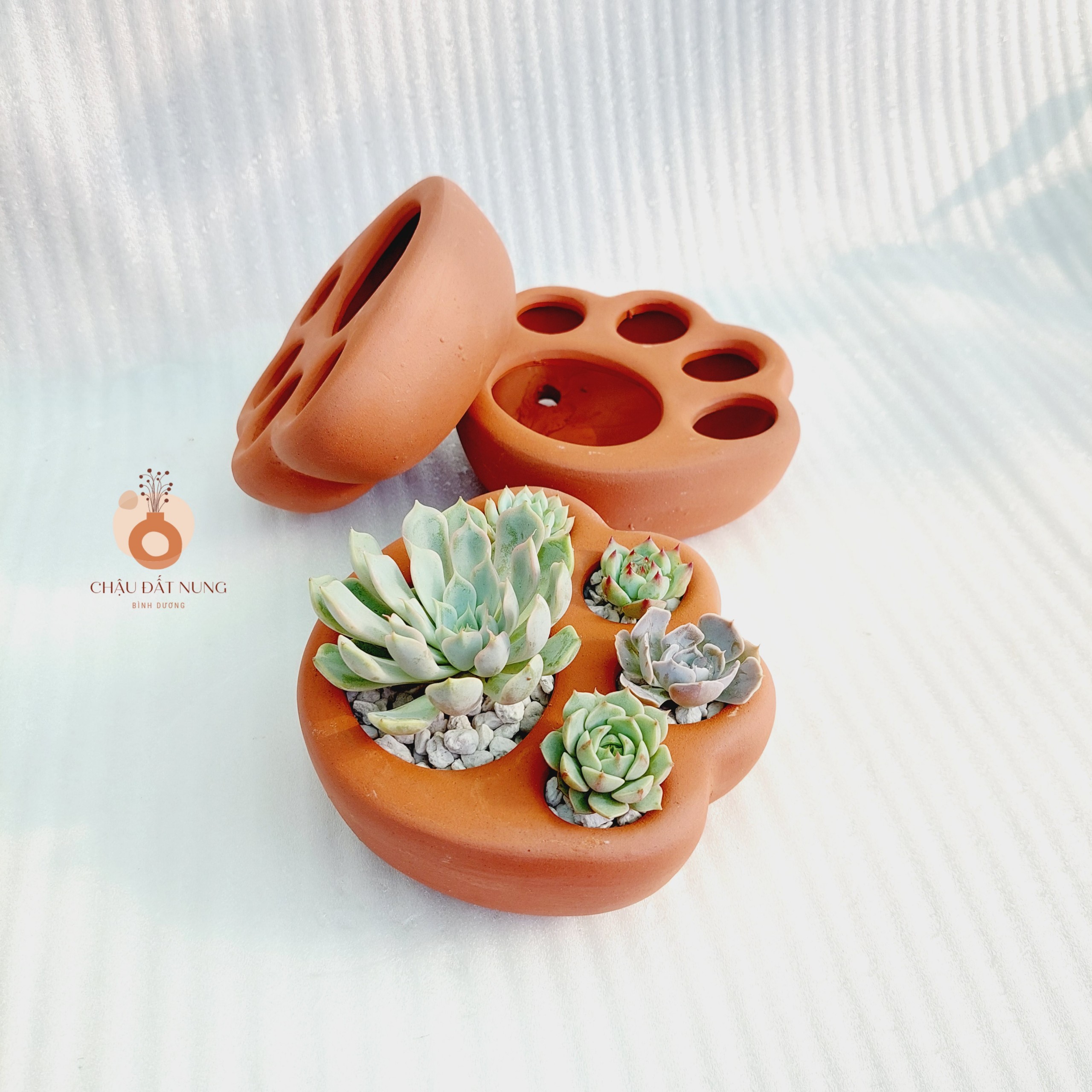 Chậu đất nung Bình Dương - Chân chó, đường kính lỗ 3-4cm, đường kính bàn chân 7-8cm, chiều cao 4.5cm