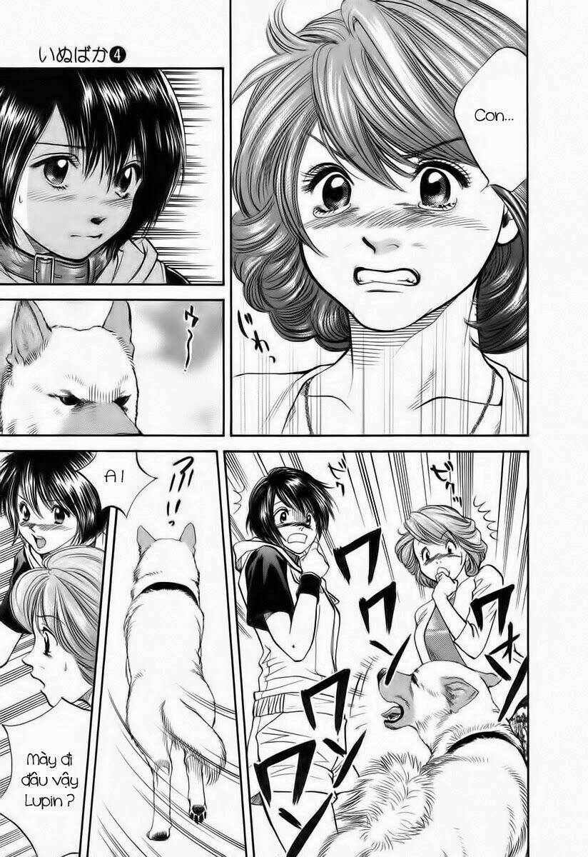 cô nàng yêu chó chapter 40 9
