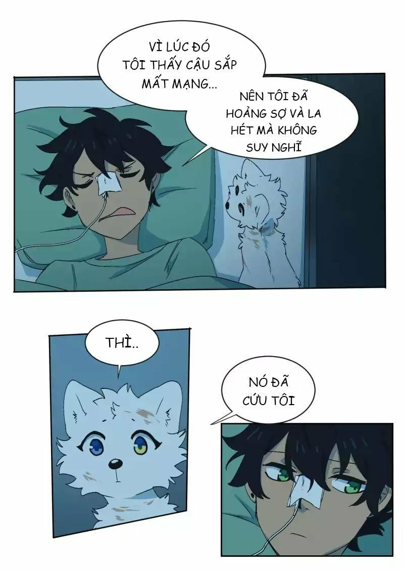 lumine - cội nguồn ánh sáng chapter 33 13