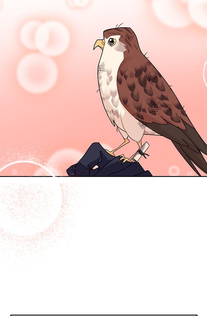 công chúa của loài chim chapter 7 63