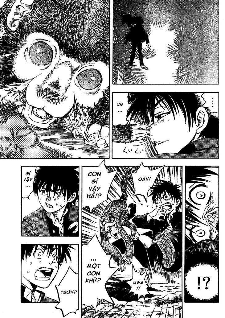 cage of eden chapter 1 31