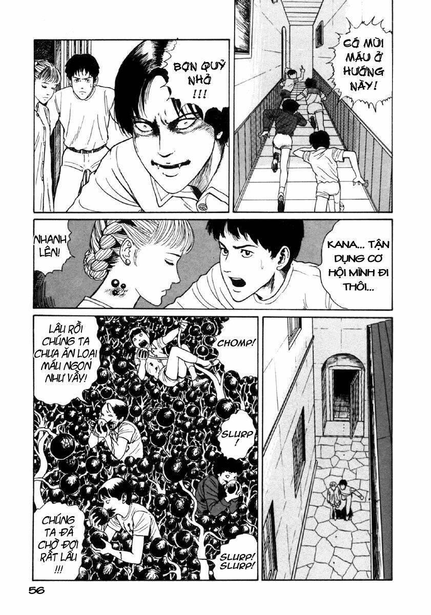 tuyển tập truyện ngắn kinh dị của ito junji chapter 8.1 55