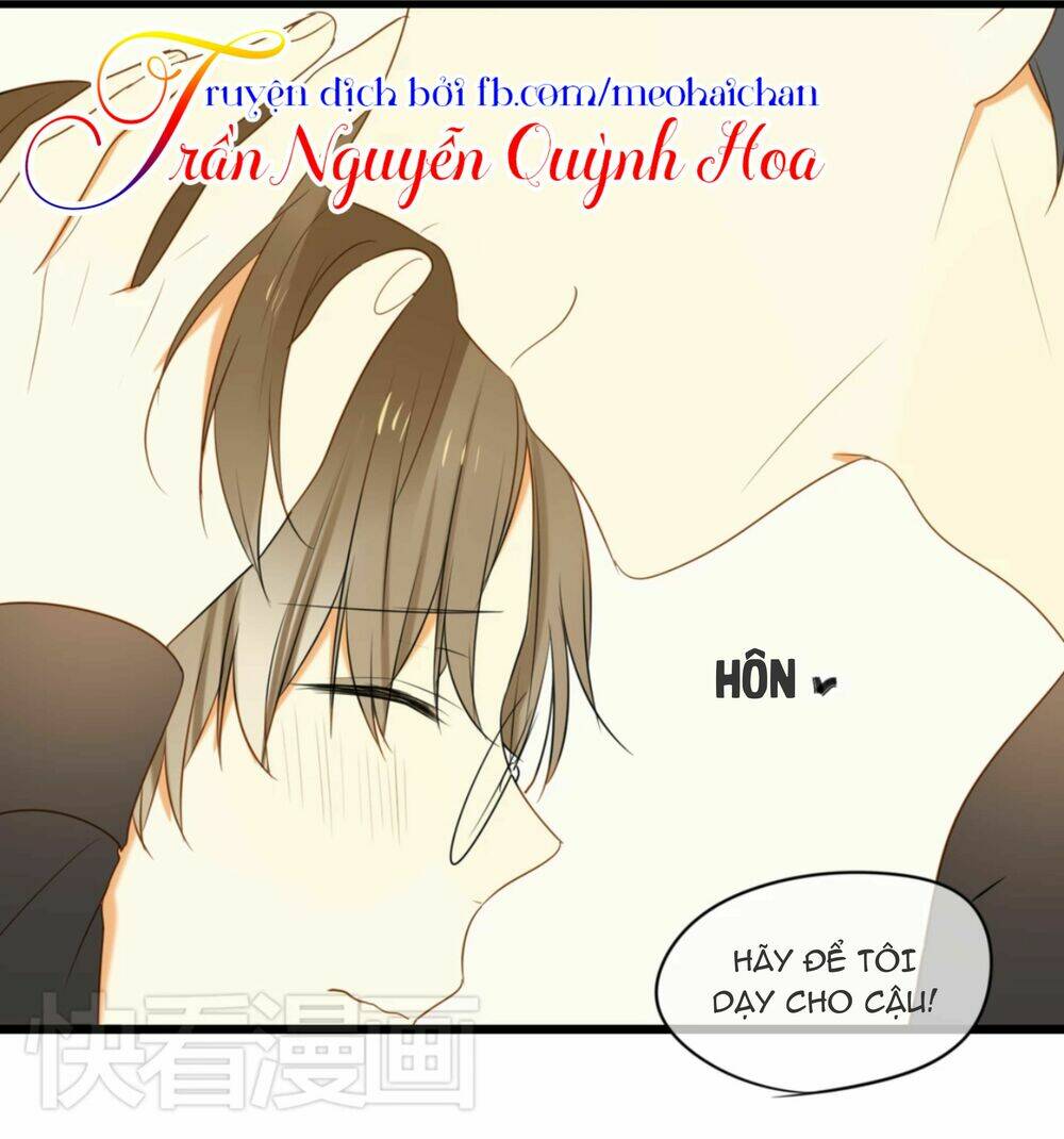 điều giáo quan hệ chapter 11 15