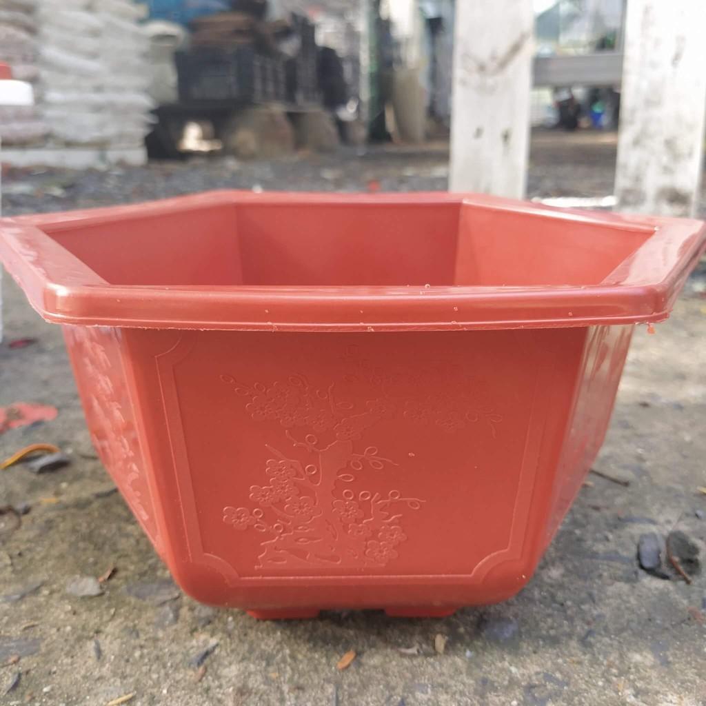 Combo 3 Chậu Lục Giác Đỏ Trồng Cây - Đường Kính Miệng 25cm