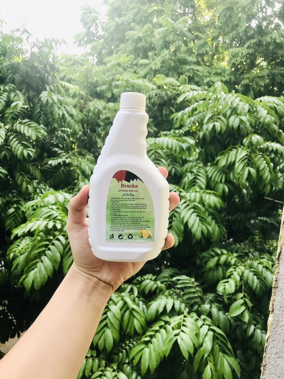 Xịt phòng thảo mộc, chế phẩm đuổi muỗi, kiến và gián 500ml