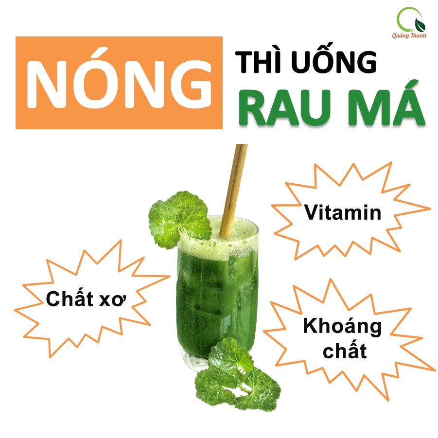 Bột rau má sấy lạnh Quảng Thanh, bịch 50gr - Giải độc, mát gan, thanh nhiệt cơ thể, giảm mụn, đẹp da