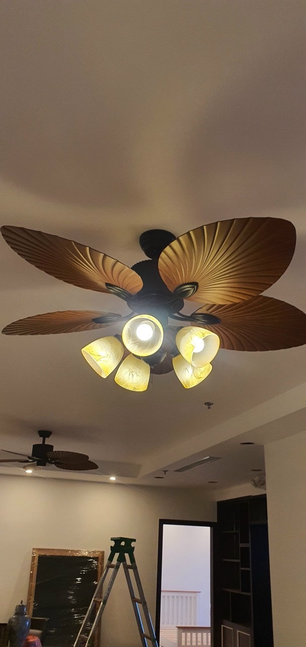 Quạt trần cánh lá cọ có 5 chao đèn Klasse - Hàng chính hãng