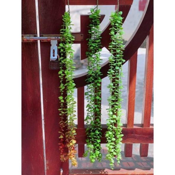 Bó 5 sợi dây lá giả rủ 80cm treo tường trang trí cầu thang, ban công, tiểu cảnh xanh mát, dây lá trang trí nhà hàng