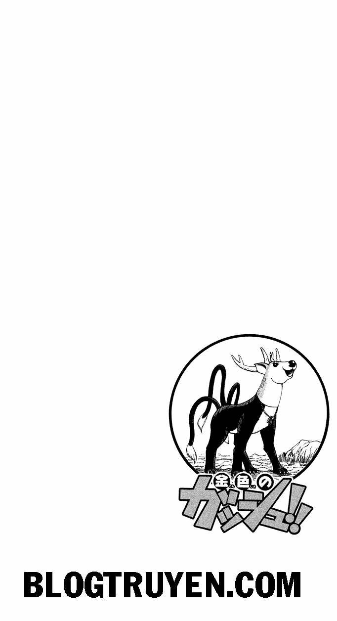 konjiki no gash!! chapter 81 3