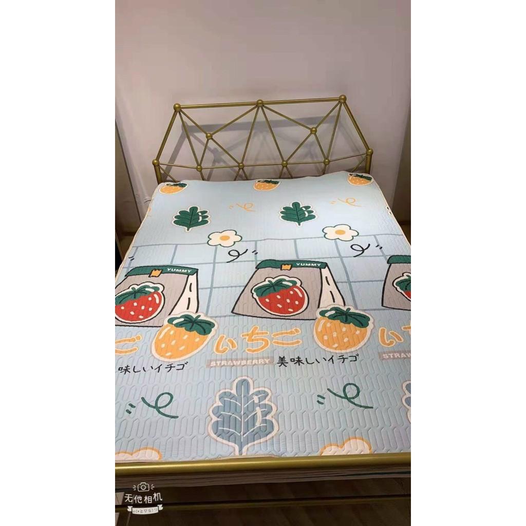 Chiếu Điều Hòa Cao Su Non Hàng Loại 1 Cao Cấp đủ size
