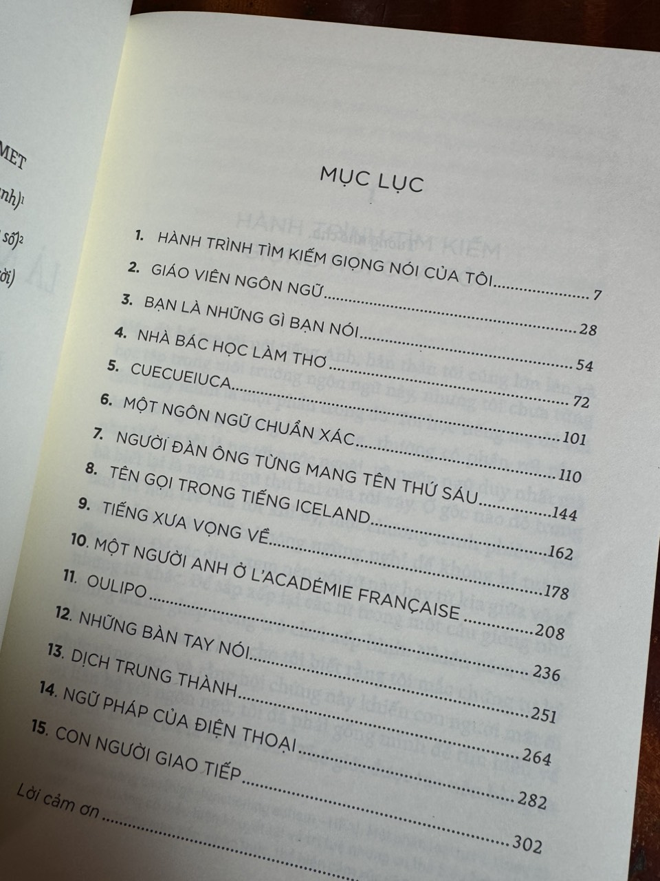 MỖI TỪ LÀ MỘT CHÚ CHIM ĐANG CHỜ TA DẠY HÓT – Daniel Tammet - Khánh Trang dịch - NXB Trẻ