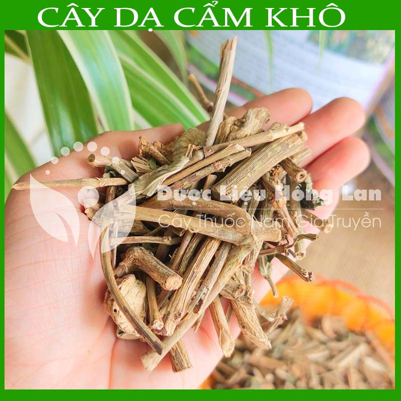 Cây dạ cẩm khô sạch đóng gói 500gram