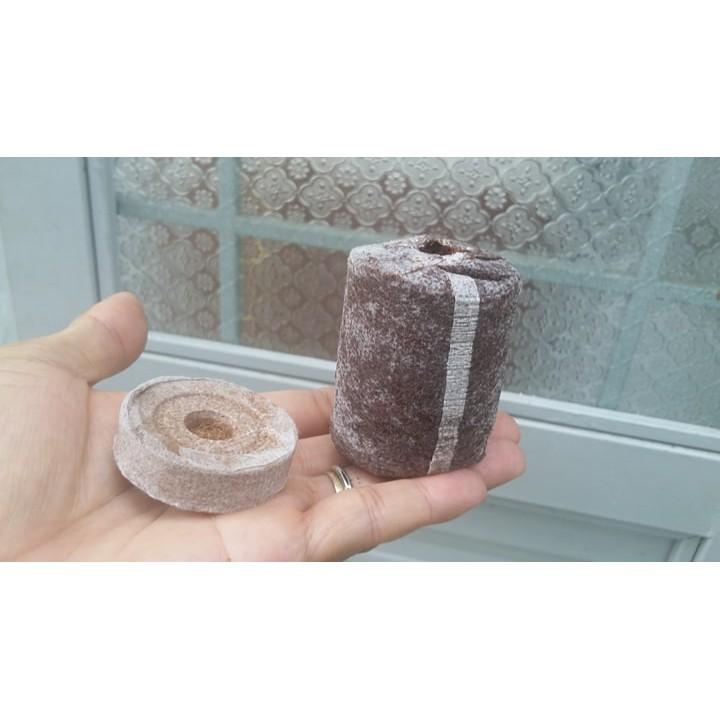 500 viên nén xơ dừa ươm hạt