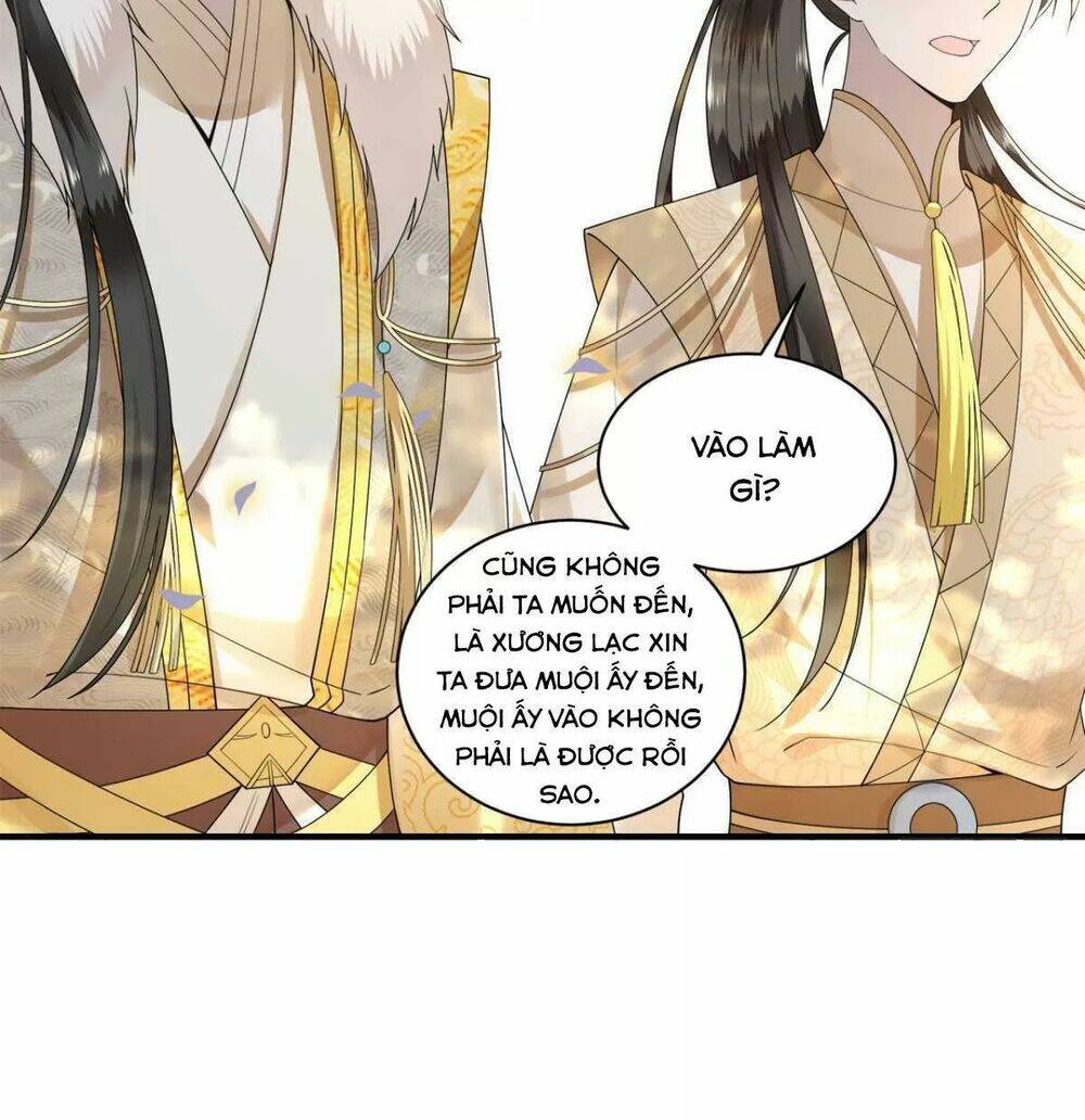 phượng hoàng vu phi chapter 112 5