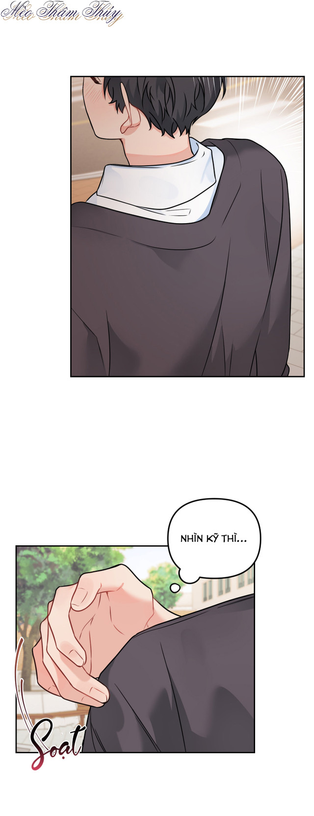 máu và tình yêu chapter 47 15