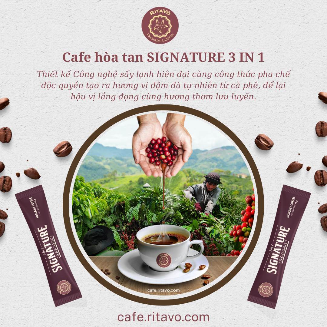 [GIẢM 25%] Cà phê hoà tan Rita Võ Cafe 3in1 signature [Hộp 216g x 12 gói]