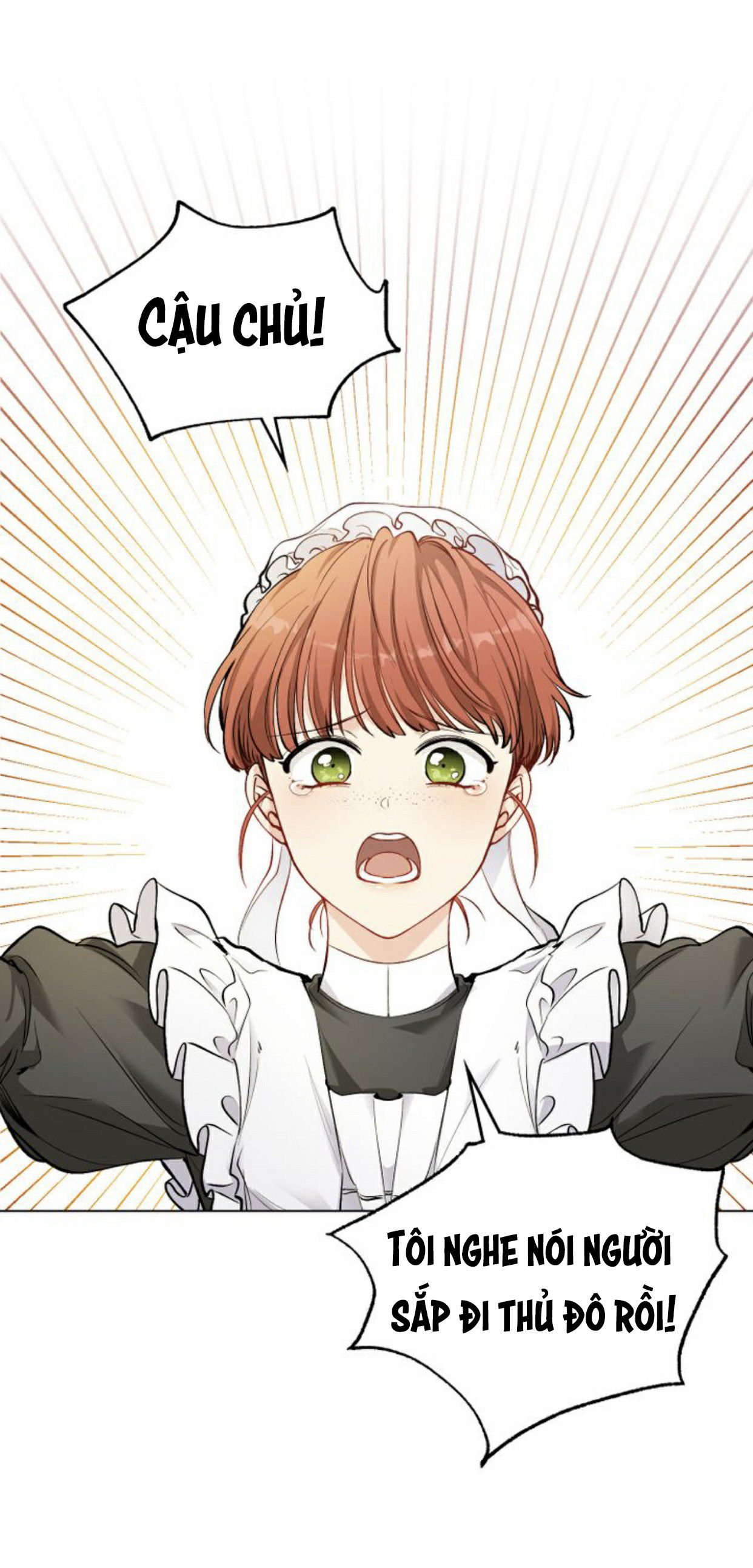 tìm lại nàng camellia chapter 11 14