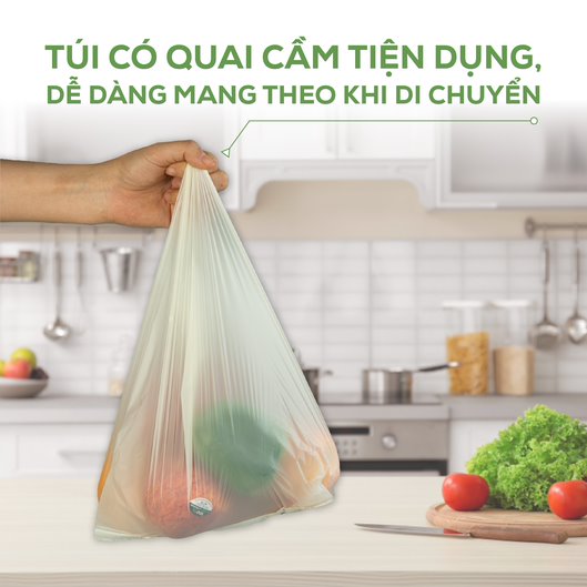 Hộp Túi Đựng Thực Phẩm Sinh Học ANECO - Phân hủy sinh học hoàn toàn - Không nhựa 100% (150 túi, có quai)