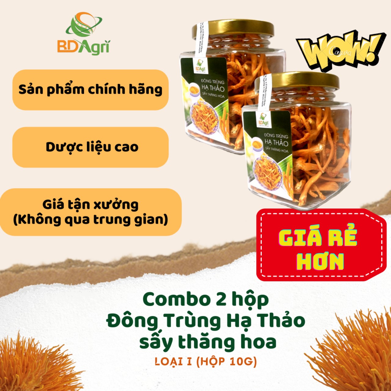 NẤM ĐÔNG TRÙNG HẠ THẢO AN GIA SẤY THĂNG HOA