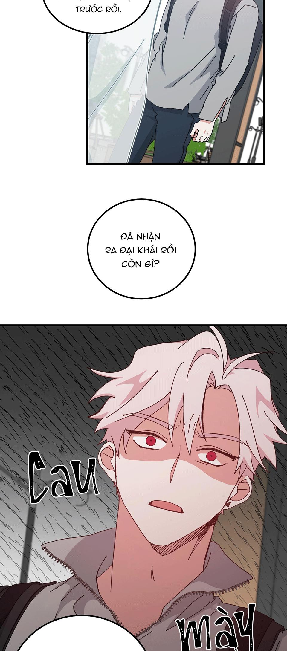 yêu tôi đi, thần hộ mệnh chapter 37 44